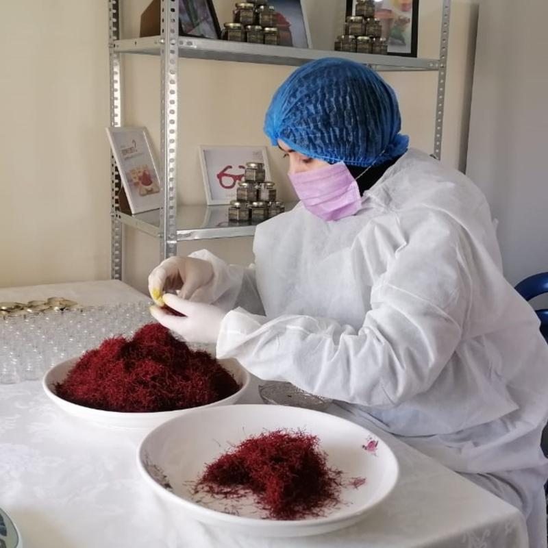 Saffron Production cycle: From our field to your table